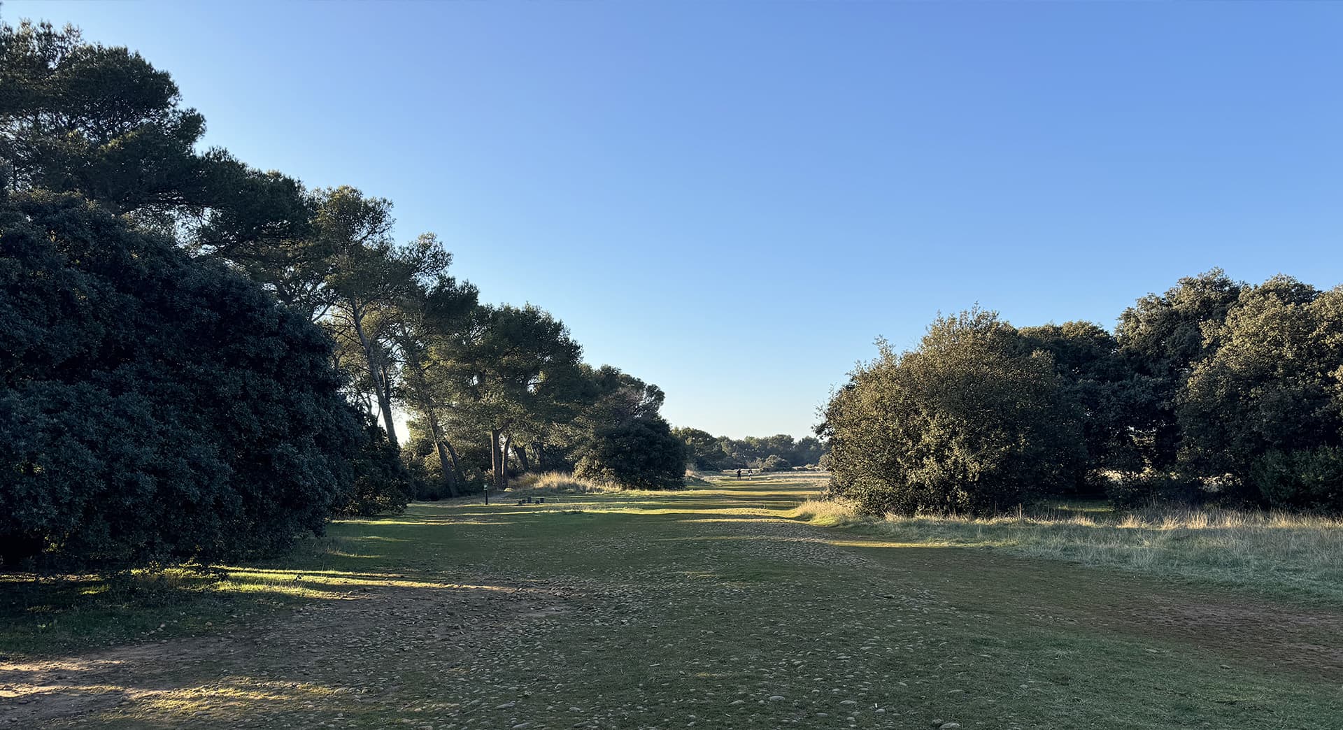 Plateau de la crau_Saint-Rémy-de-Provence