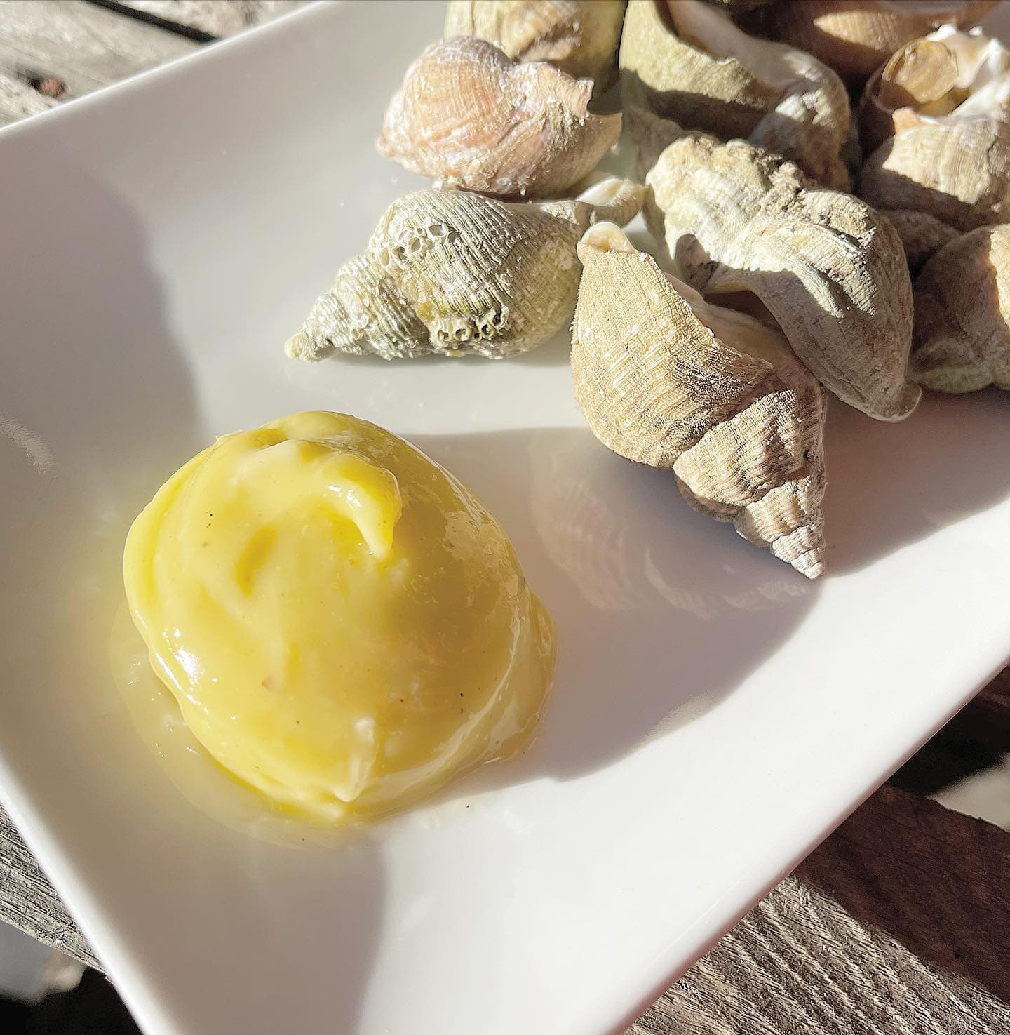 Côté Mer Coquillages