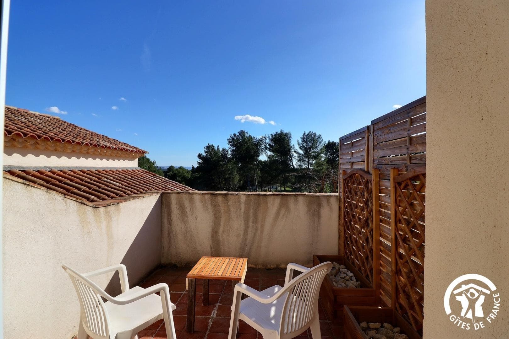 Repos sous les oliviers
