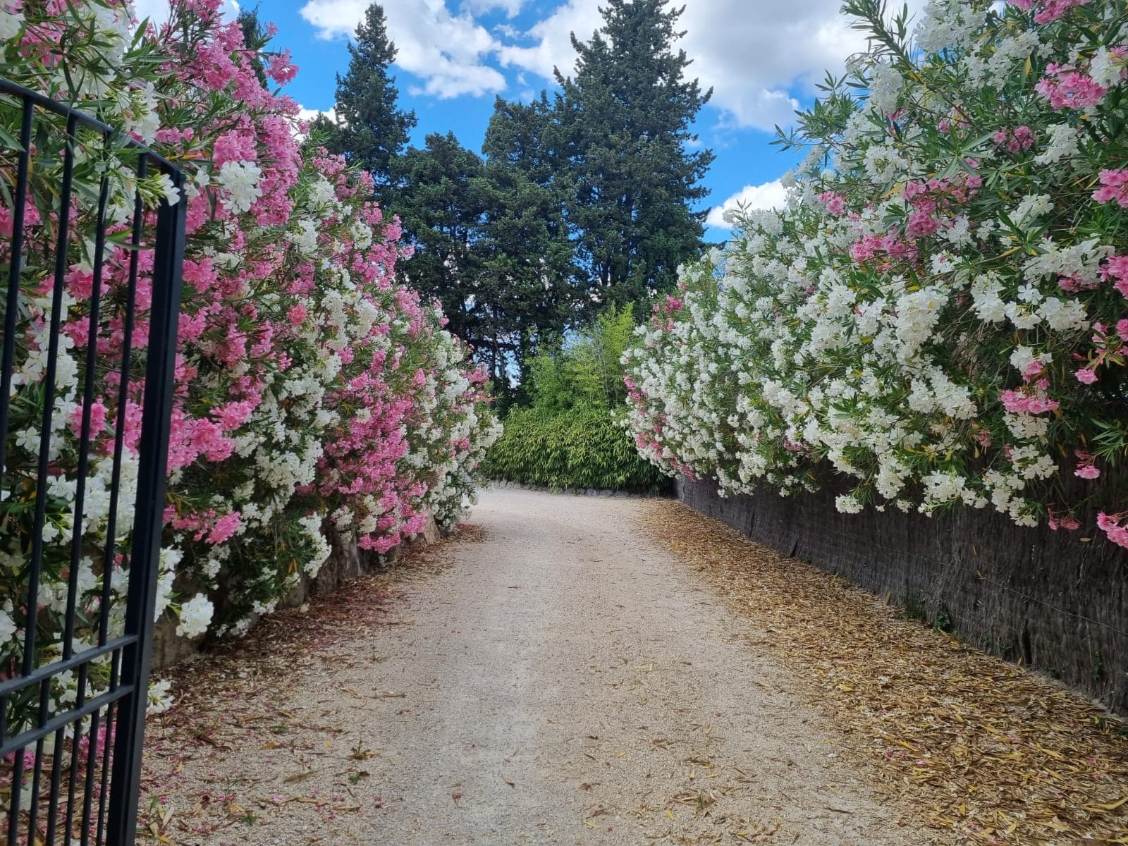 Gîte les Limites_Rognonas