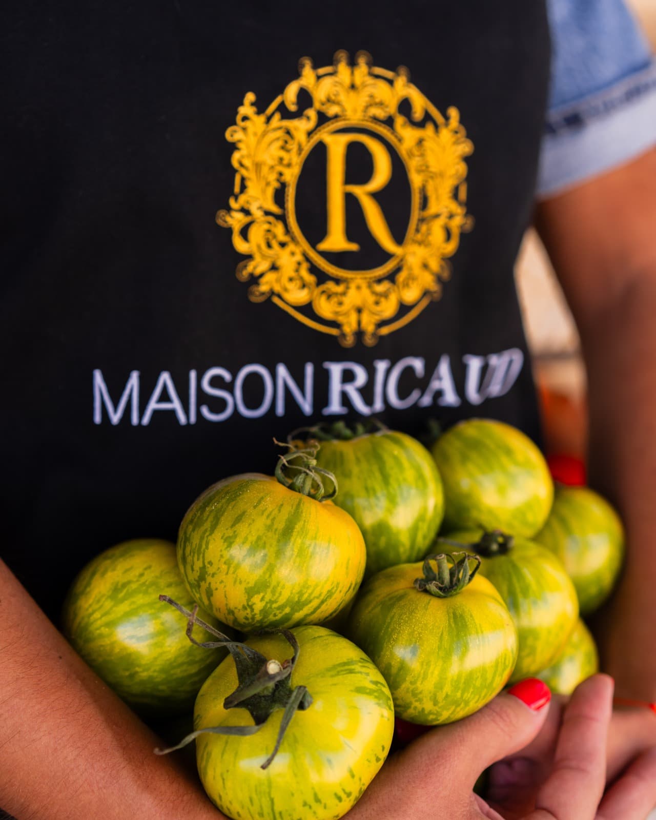 Maison Ricaud_Mollégès