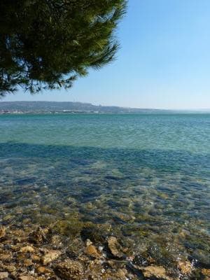 13VIS001062_5_WEB.jpg
