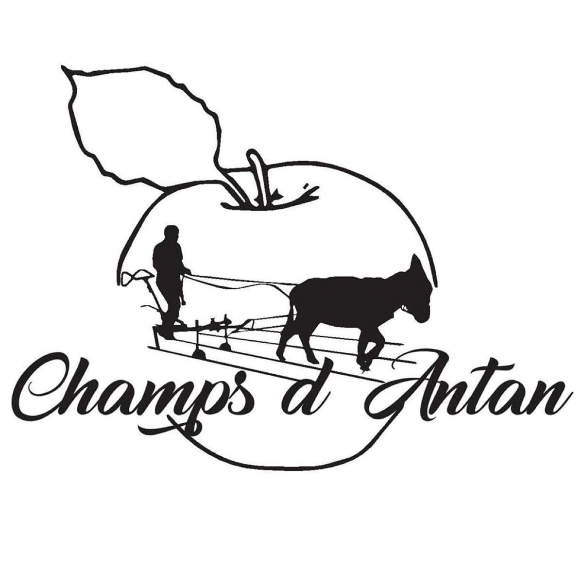 Champs d'antan