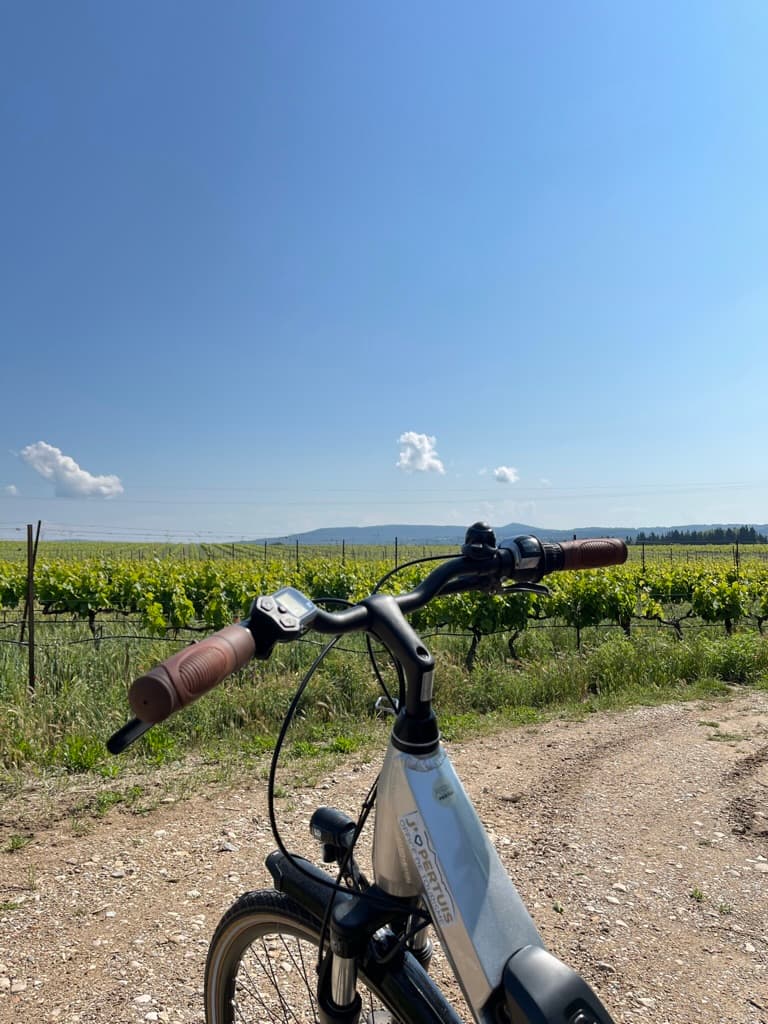 Location de vélo