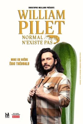 Affiche spectacle