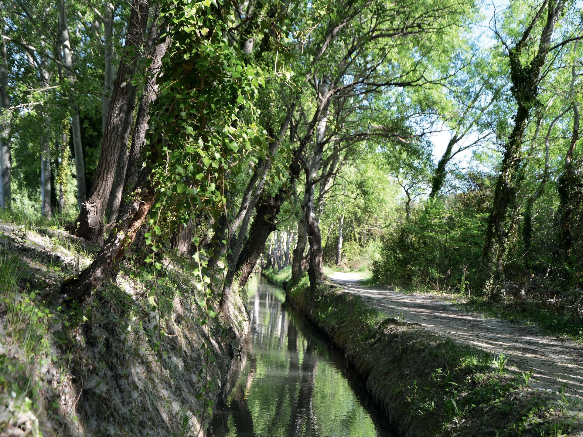 13VIS001814_1_HD.jpg