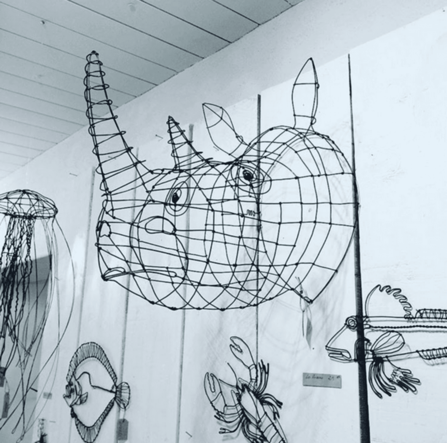 Hand_co_rhinoceros