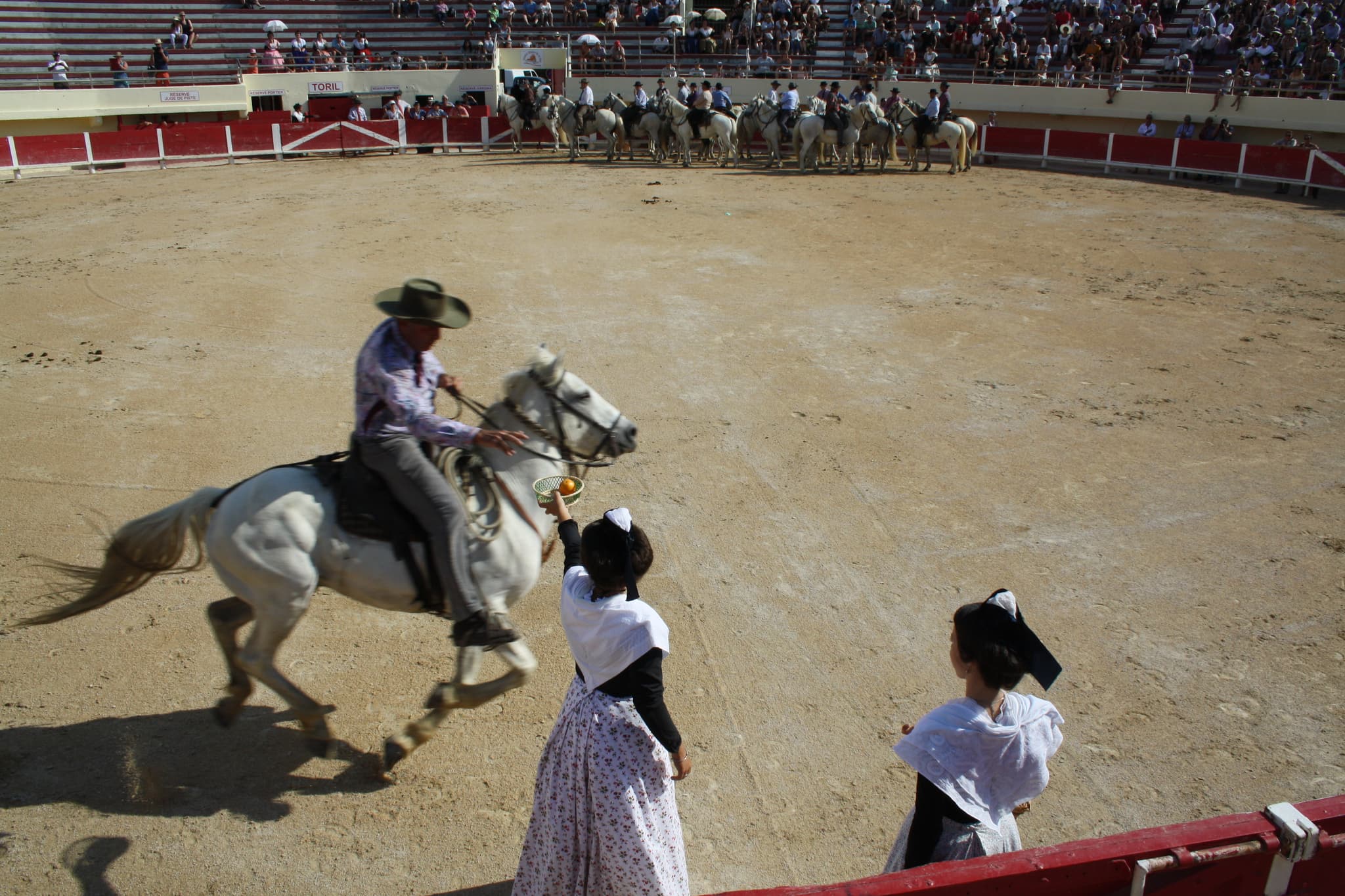 La Camargue aux Arènes