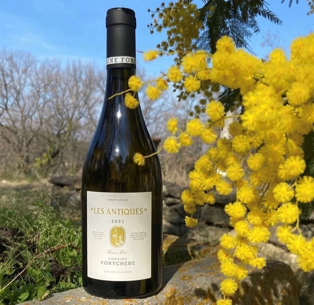 Domaine de Fontchêne
