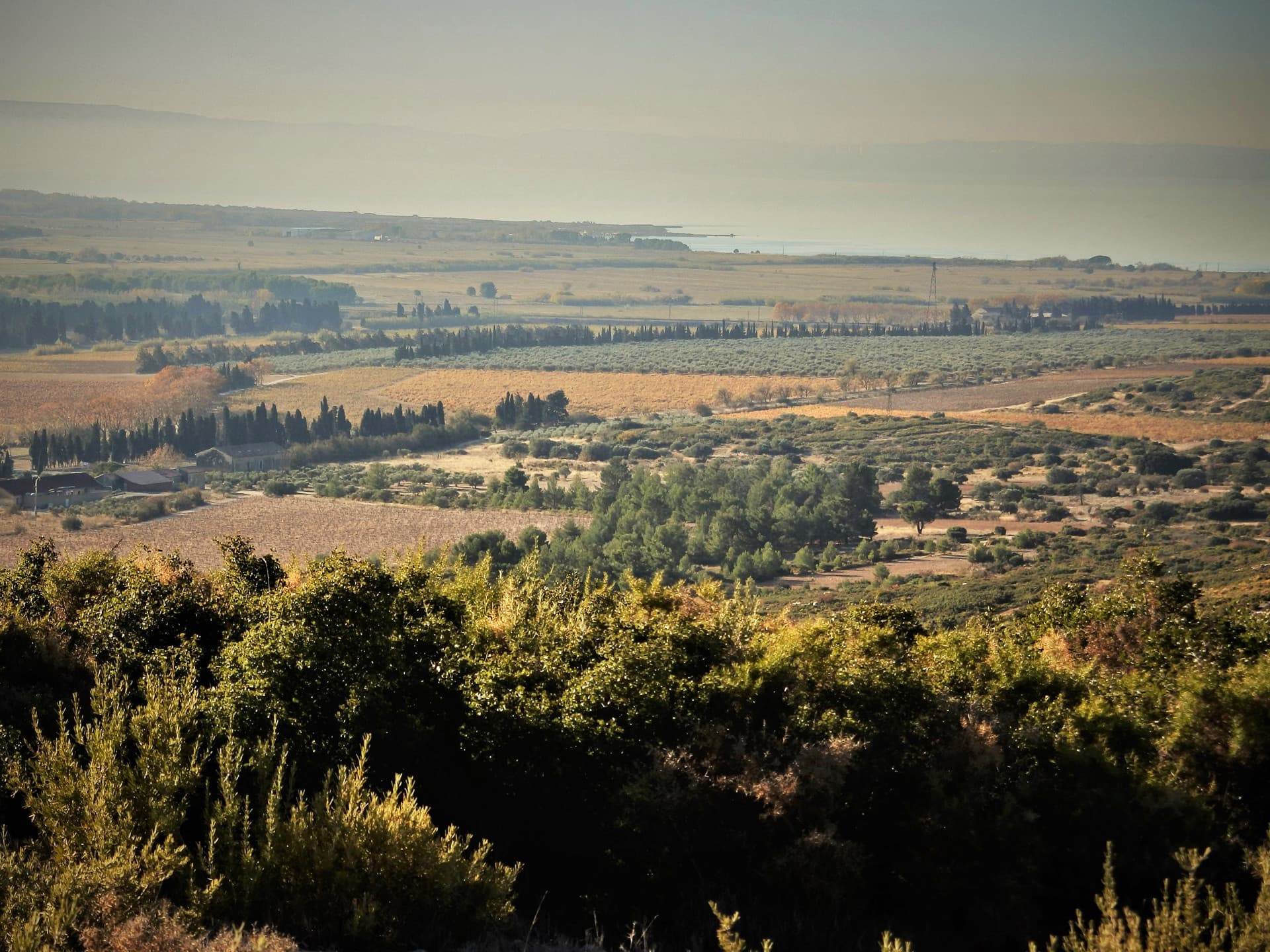 13VIS002937_2_HD.jpg