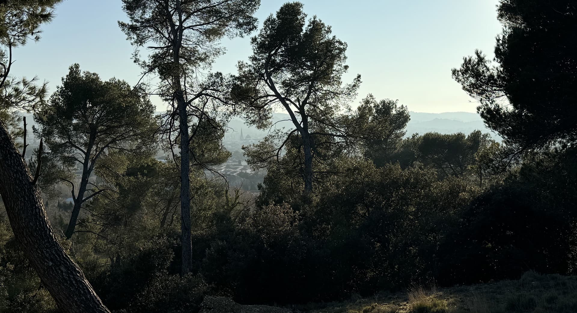 Plateau de la crau_Saint-Rémy-de-Provence
