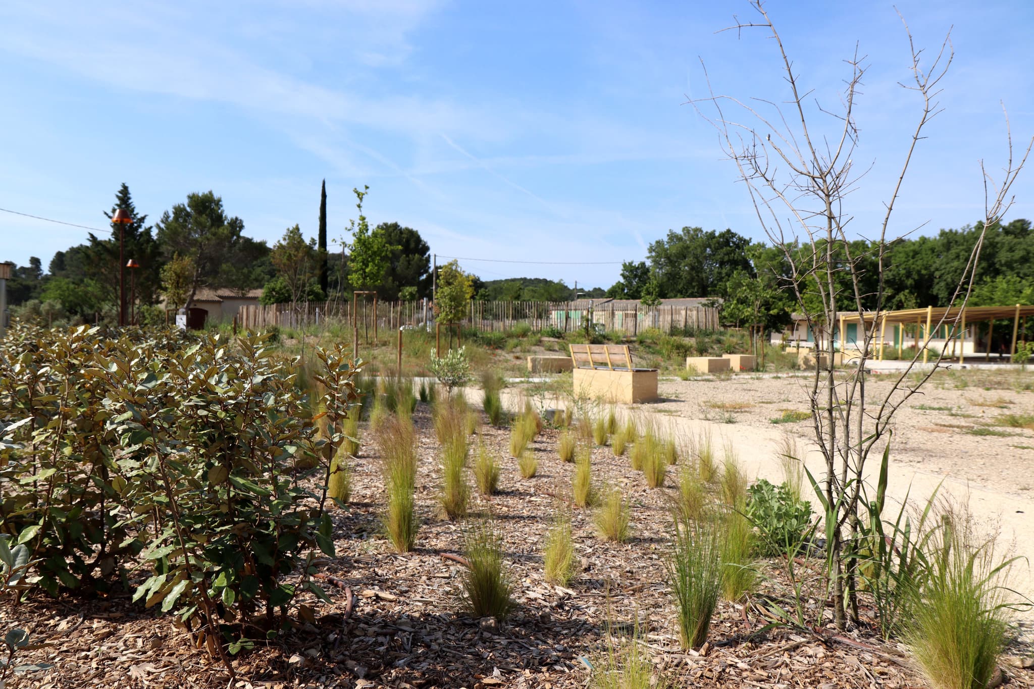 Parc de Versaille_Rognes
