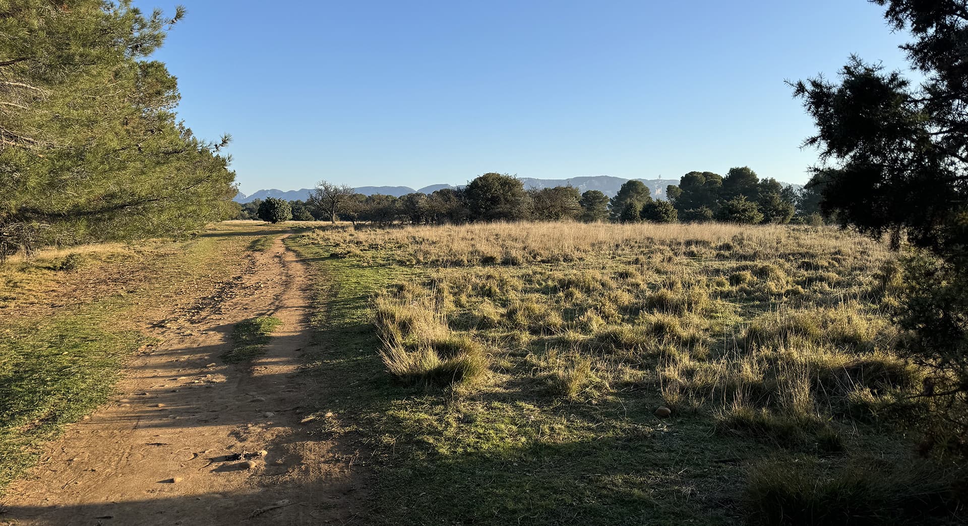 Plateau de la crau_Saint-Rémy-de-Provence