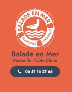 Balade en mer avec skipper sur la Côte Bleue_Carry-le-Rouet