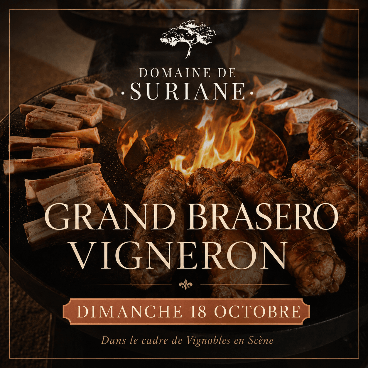 Vignobles en scène au Domaine de Suriane_Saint-Chamas