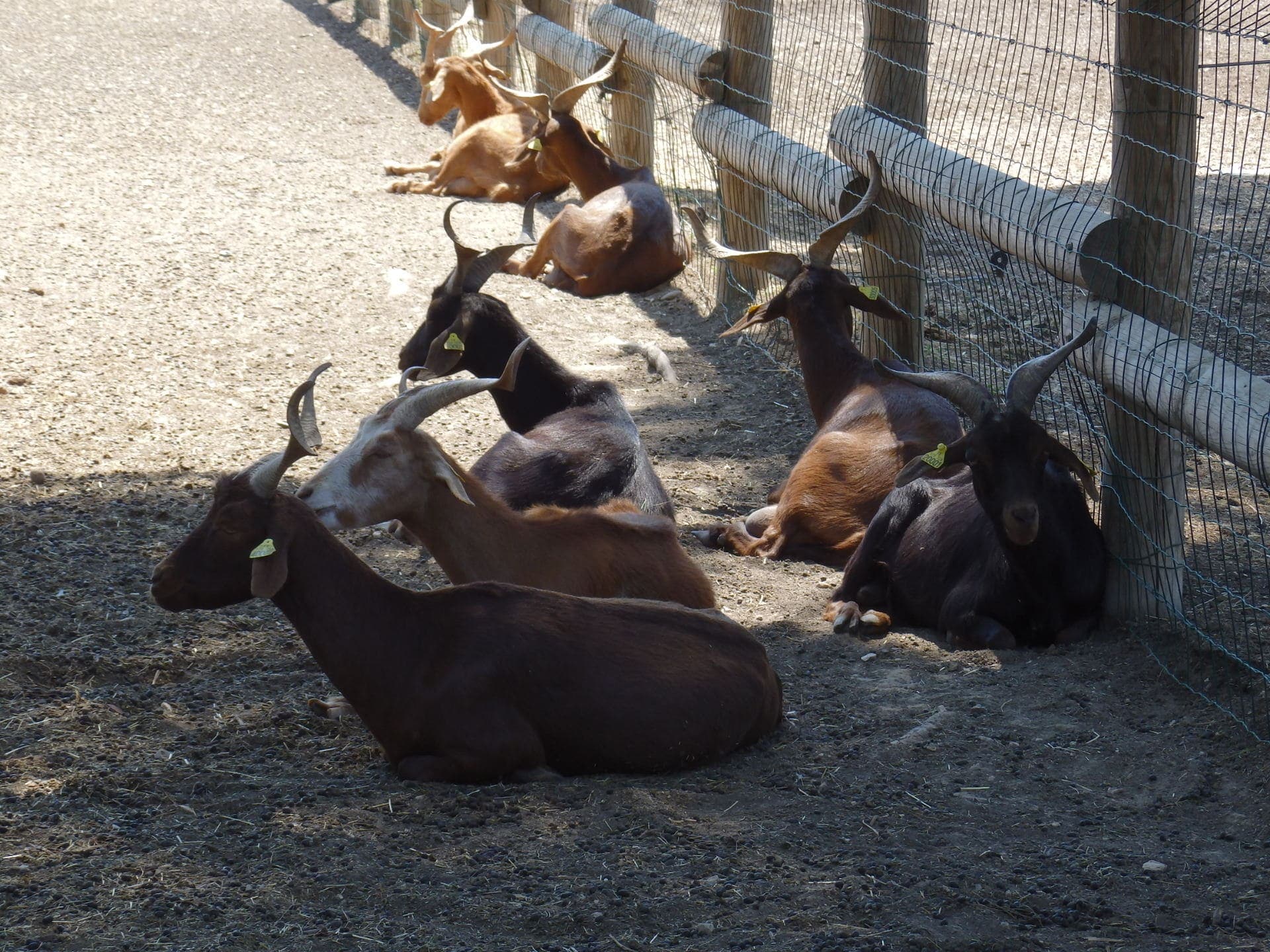 Ferme pédagogique du Parc de Figuerolles_Martigues