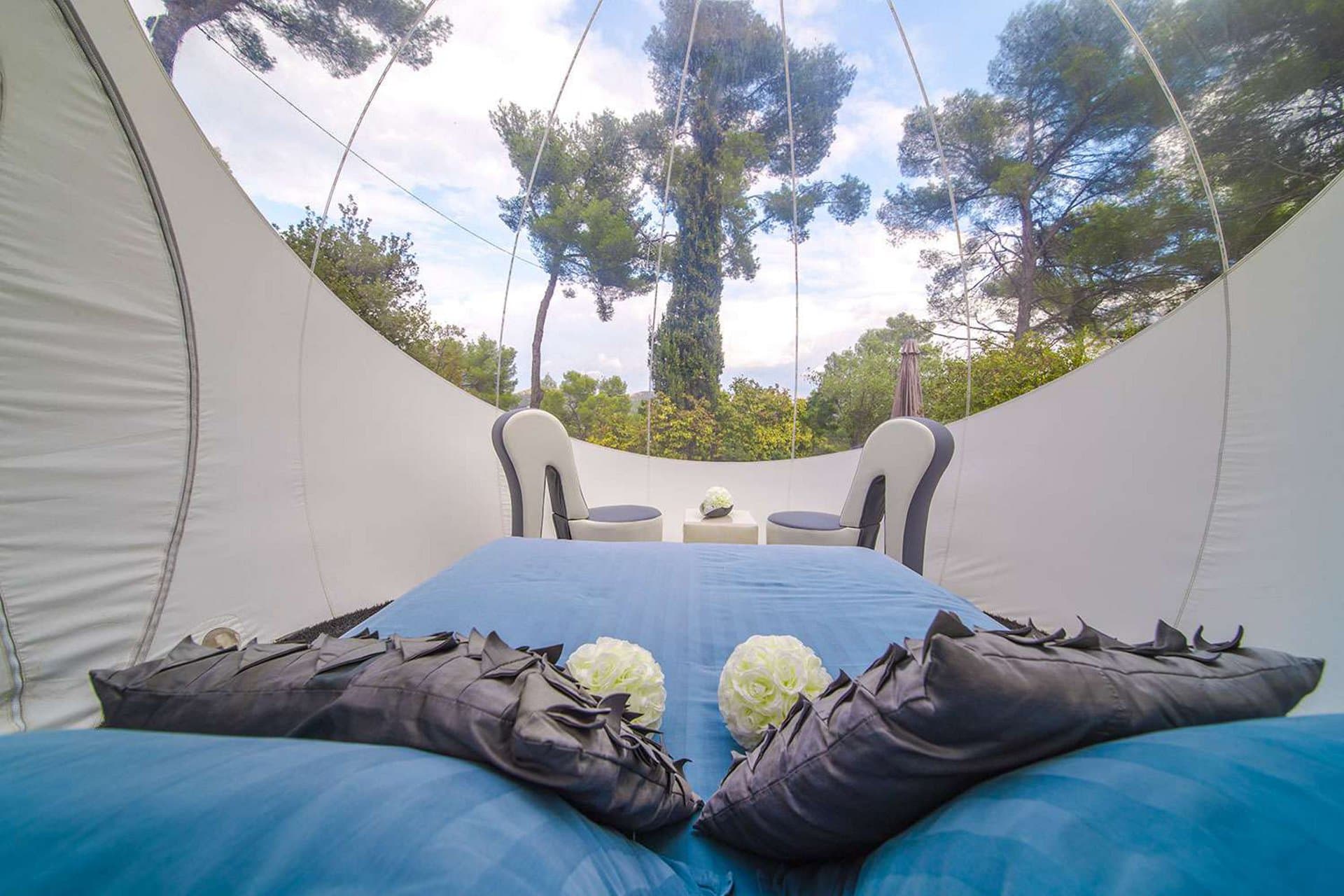 Bulle Suite