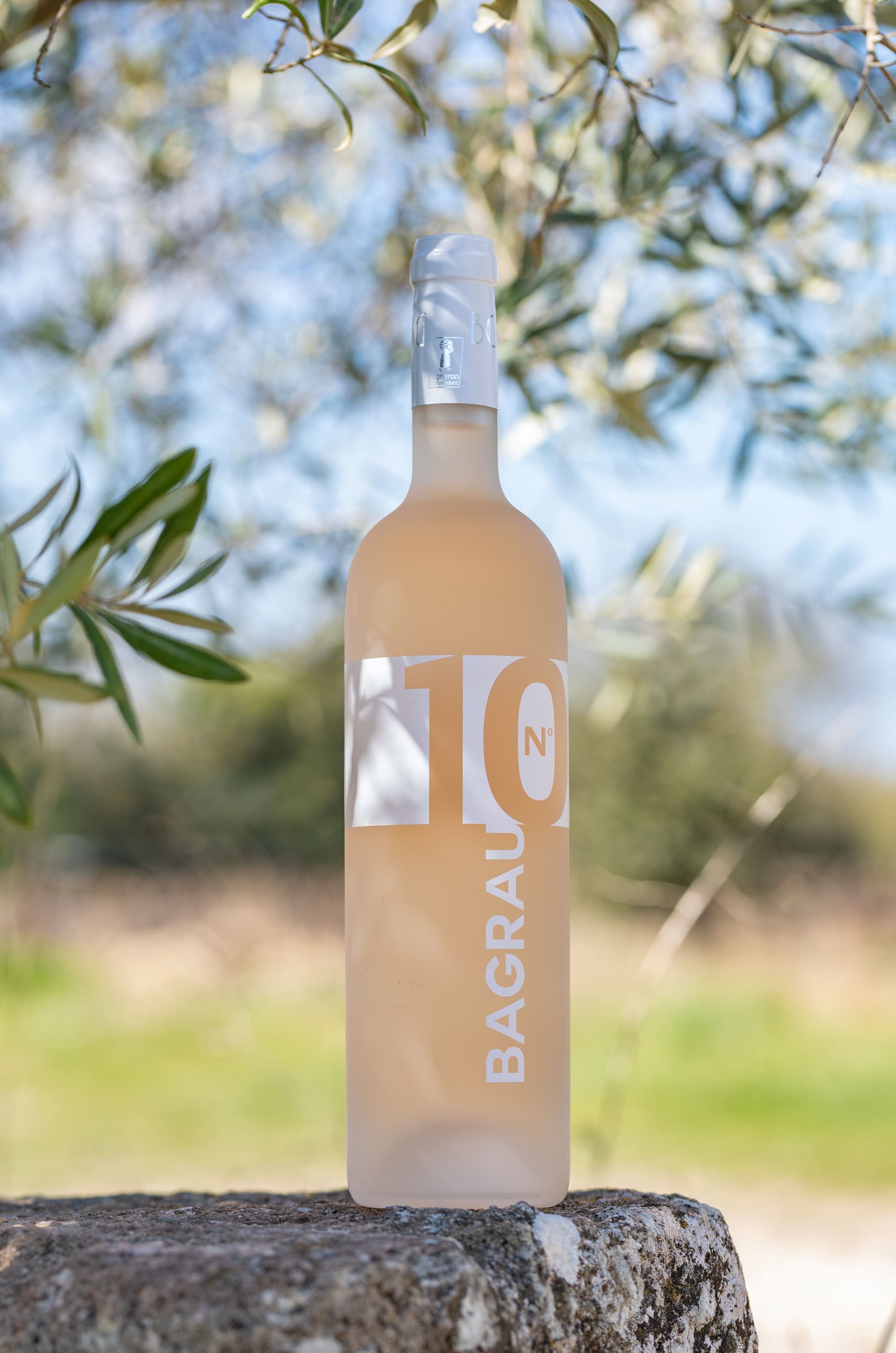 Domaine Bagrau