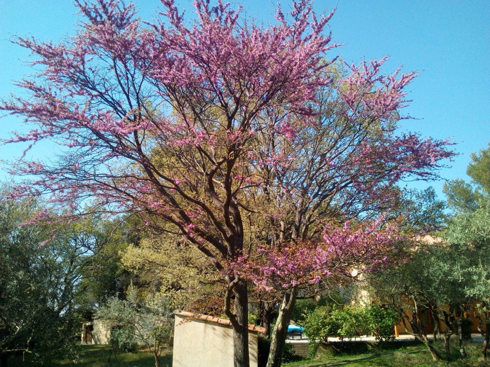 Domaine de Valfrais
