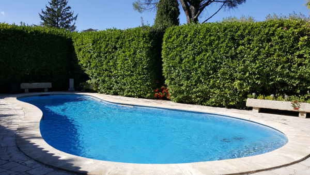 VIlla Les Lauriers Roses piscine