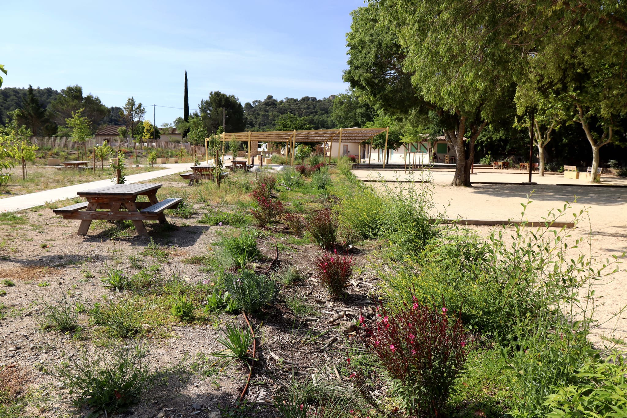 Parc de Versaille_Rognes