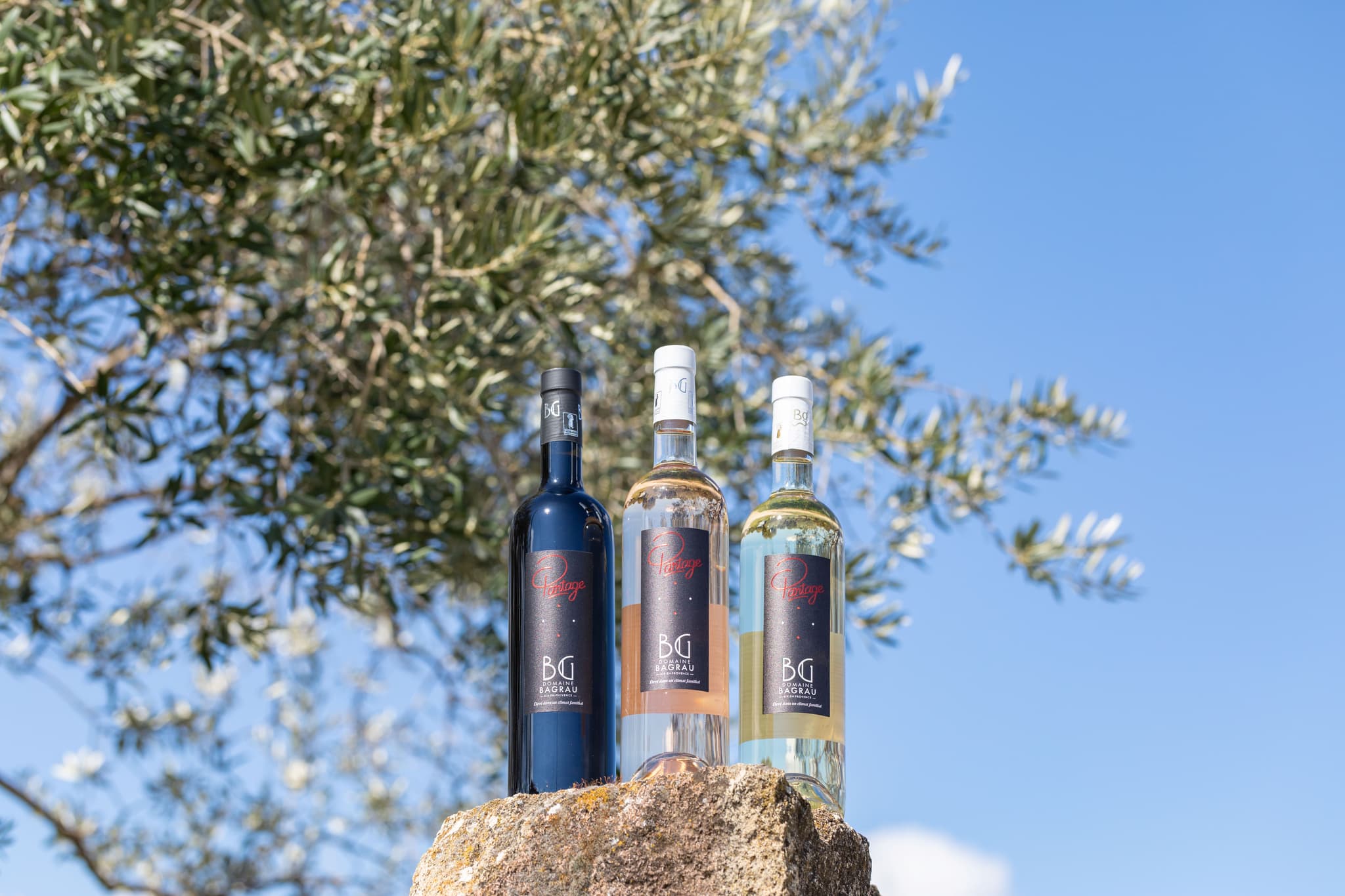 Domaine Bagrau