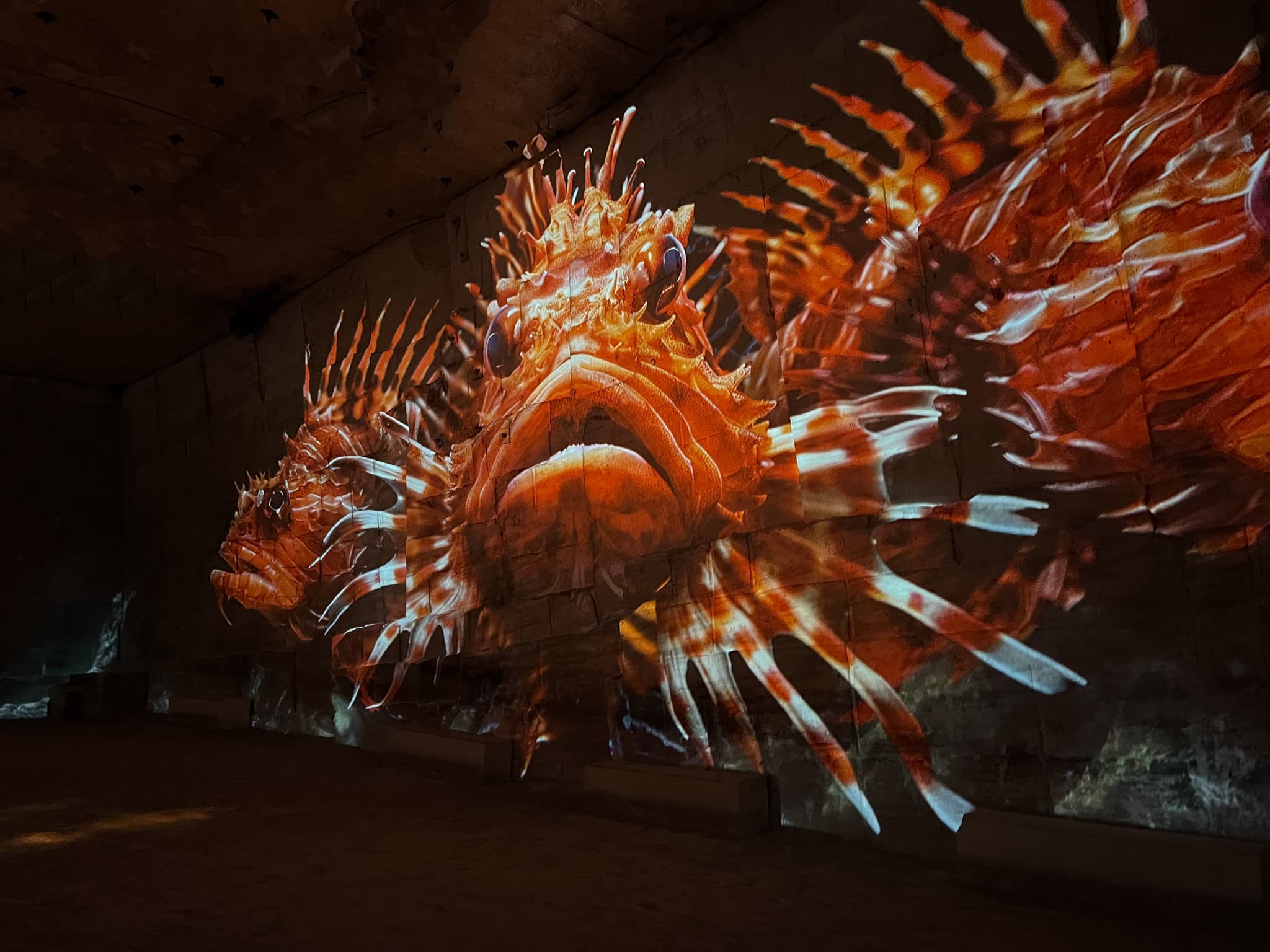 Carrières-des-Lumières : Océan, immersion dans le monde sous-marin_Les Baux-de-Provence