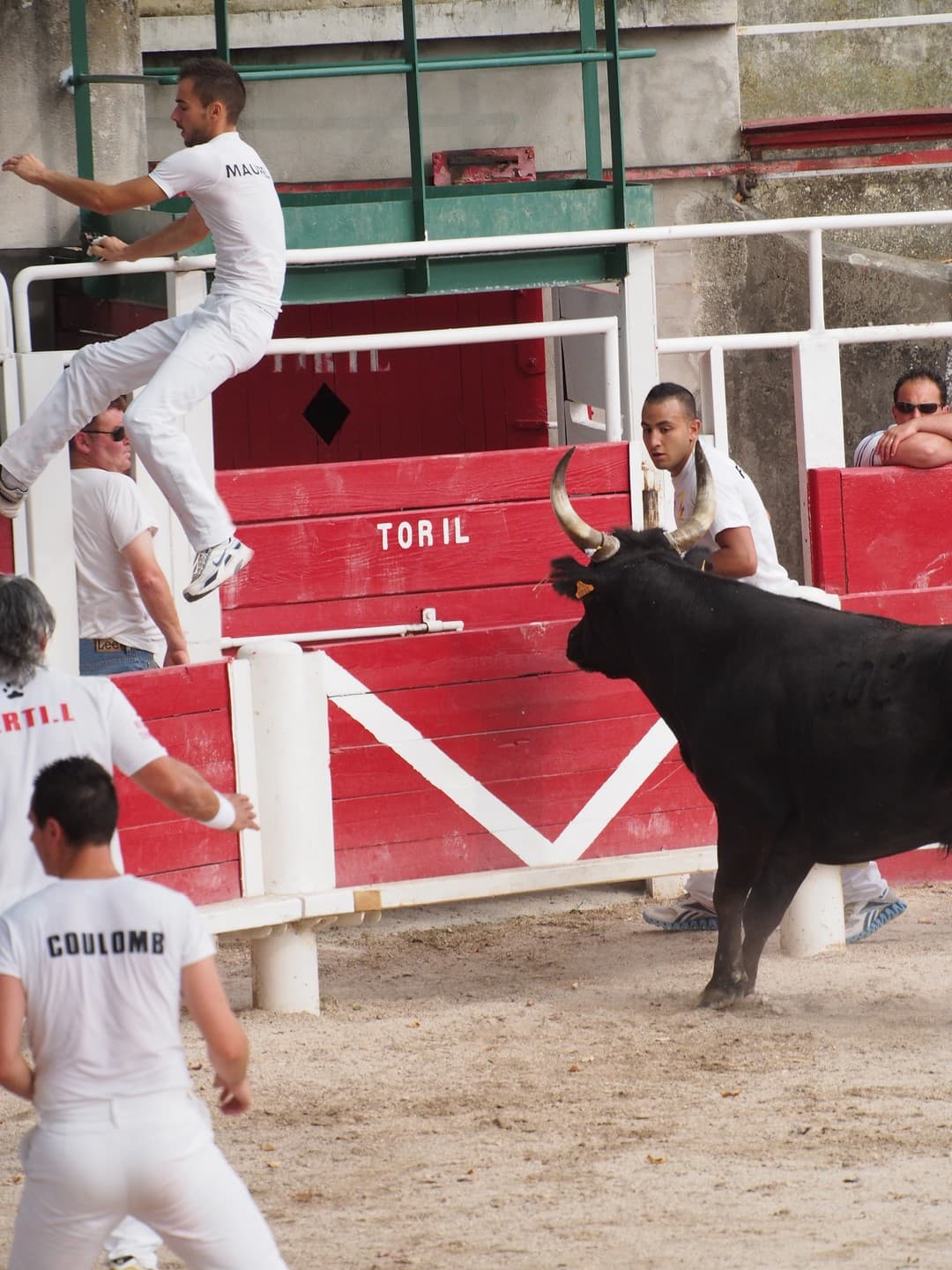 Club Taurin Fontvieillois