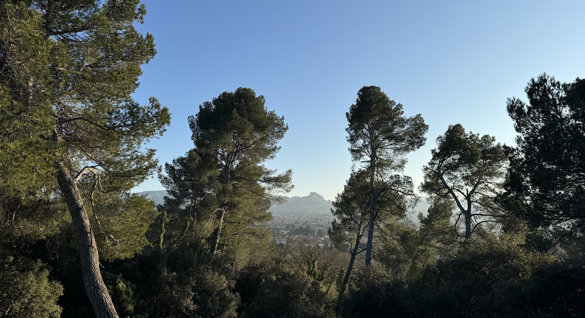 Plateau de la crau_Saint-Rémy-de-Provence
