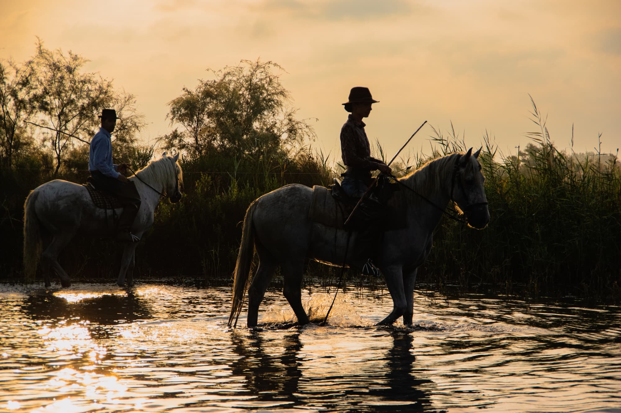 Journée d'exception en Camargue_Saintes-Maries-de-la-Mer