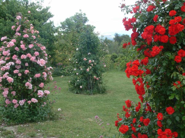 Jardin des 5 sens et des formes premières
