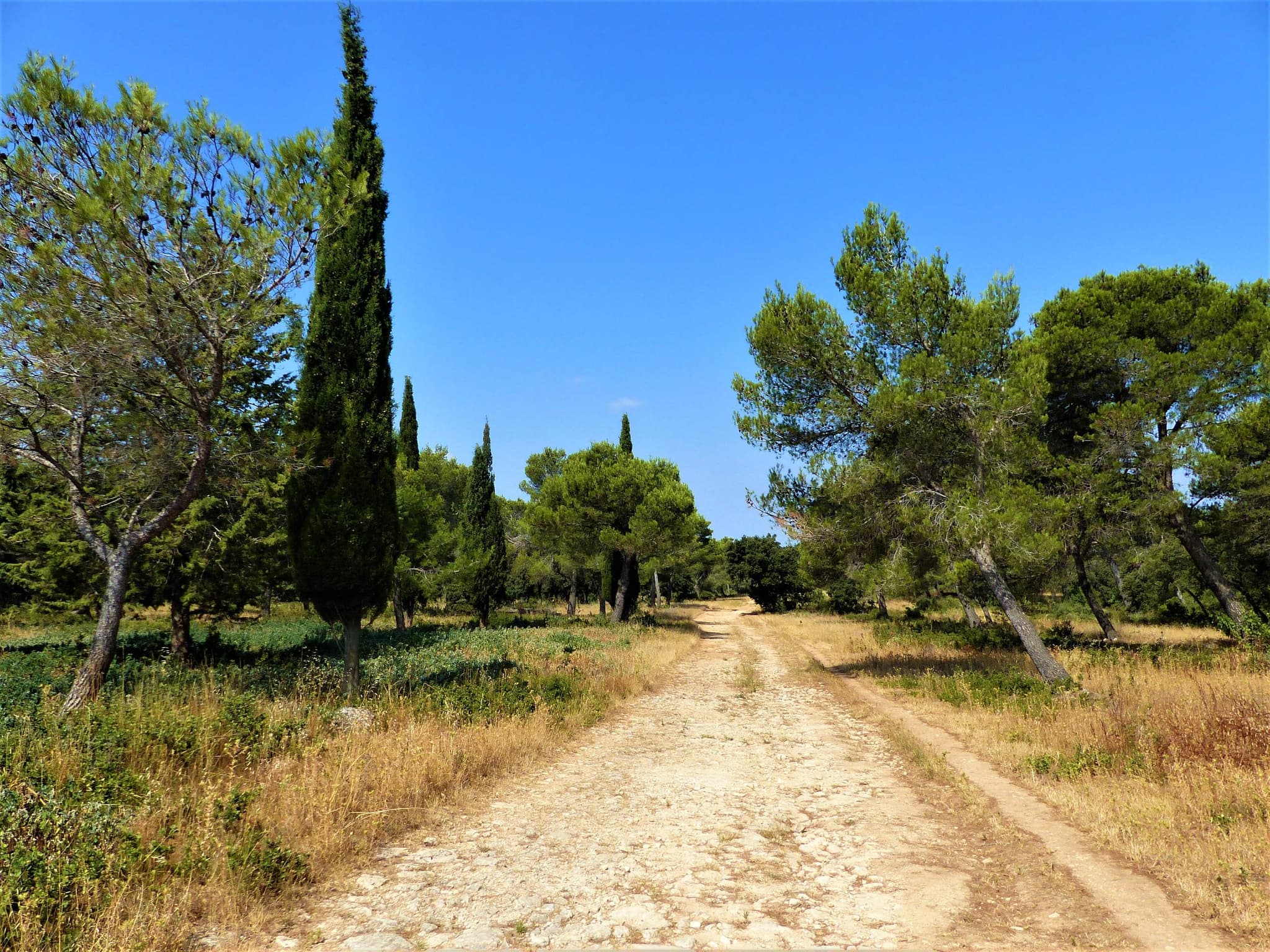 TARASCON - La Routo : sentier des chapelles