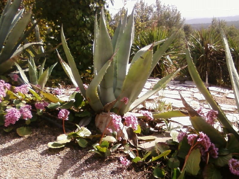Jardin des 5 sens et des formes premières