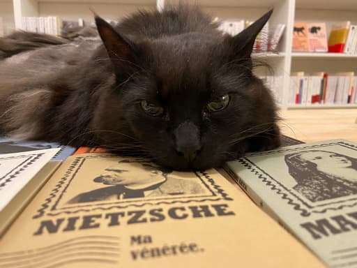 Mon Chat Pitre