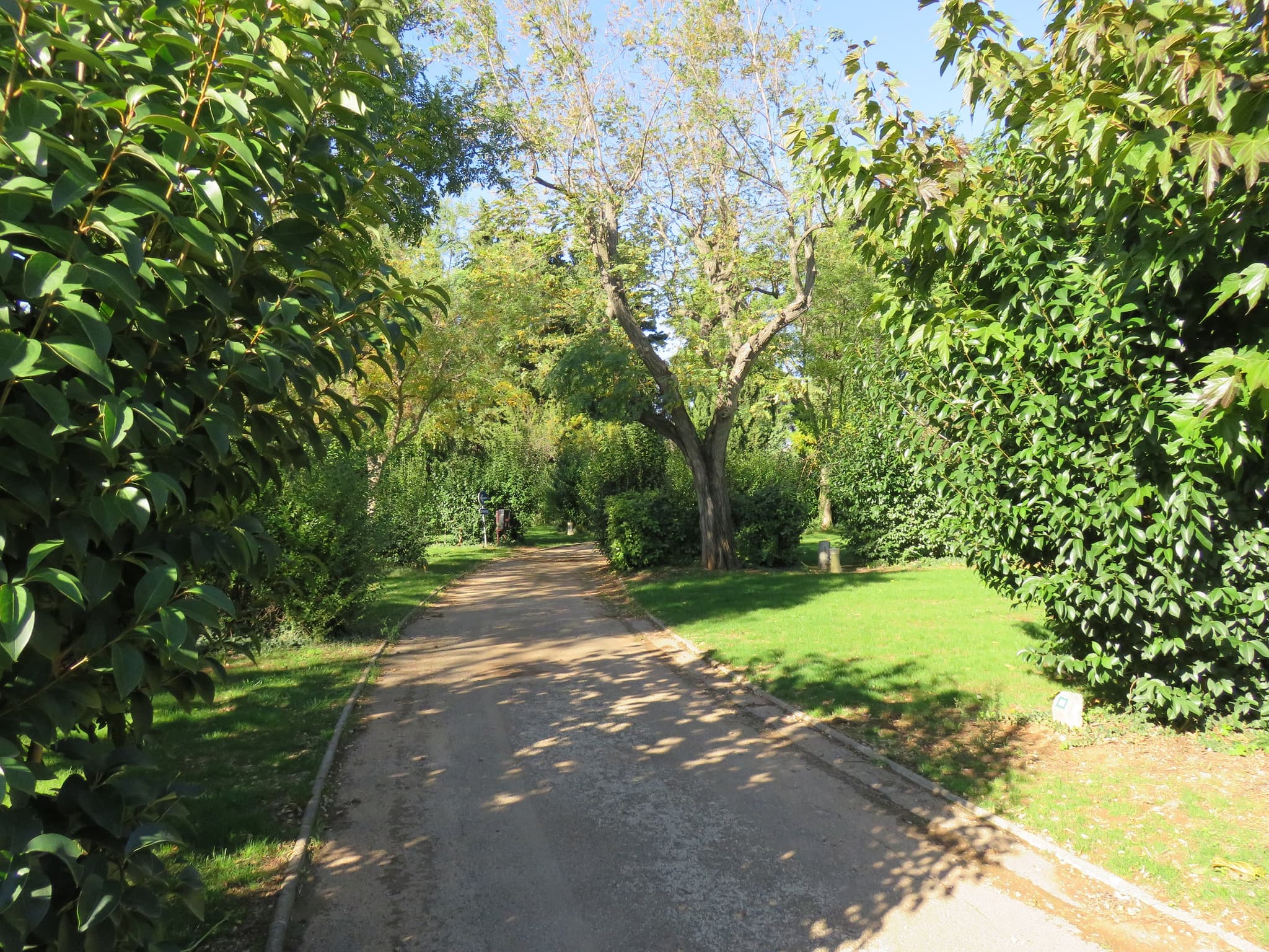 Camping Les Romarins