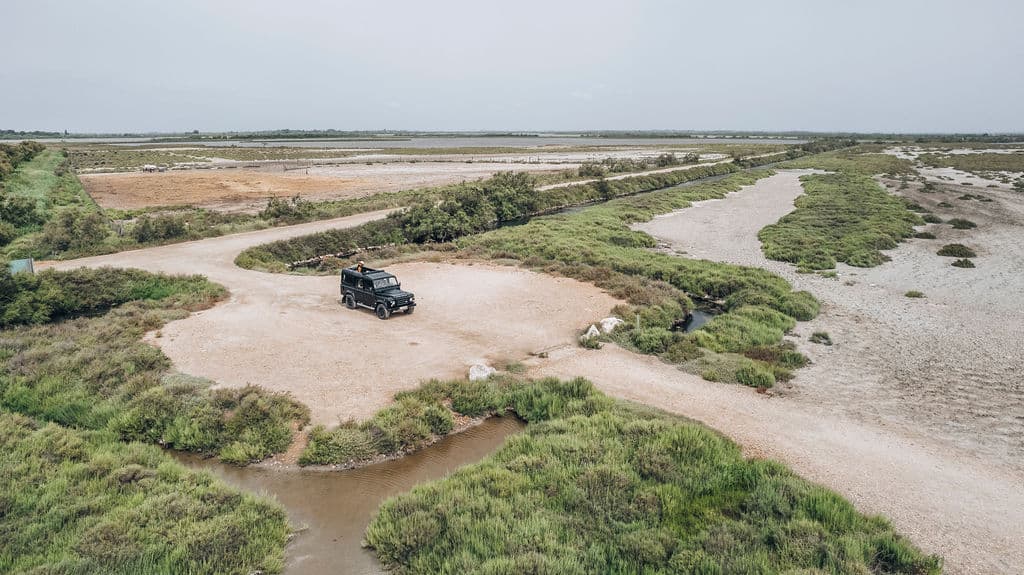 Camargue Safari Tours