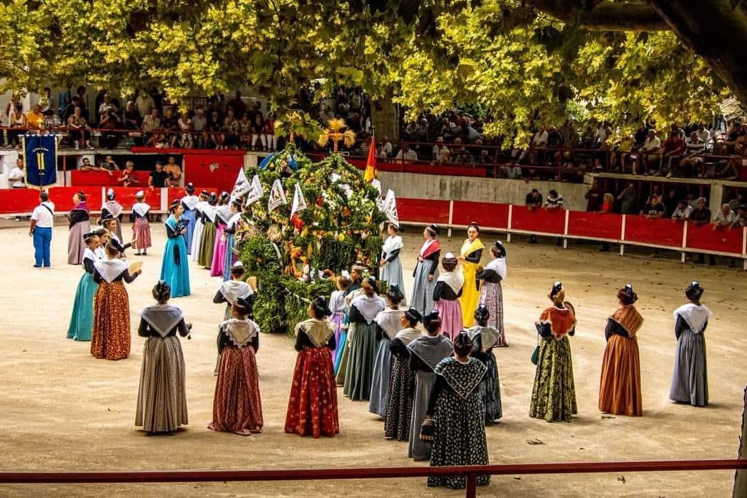 Arènes municipales des Paluds_Noves