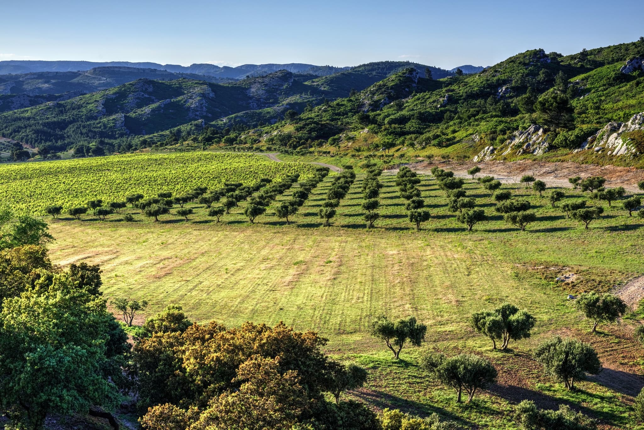 Domaine de Lauzières