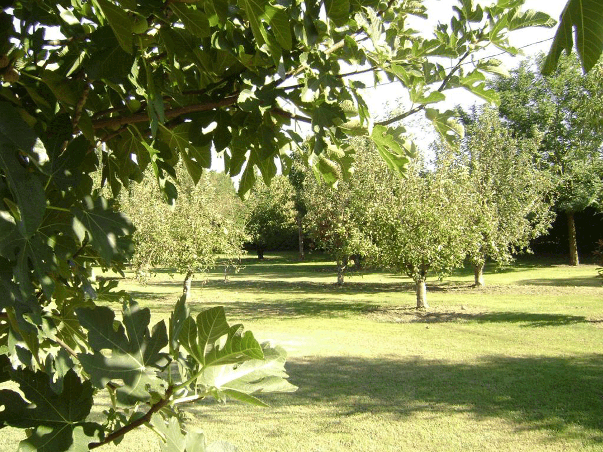 La Gourmandine