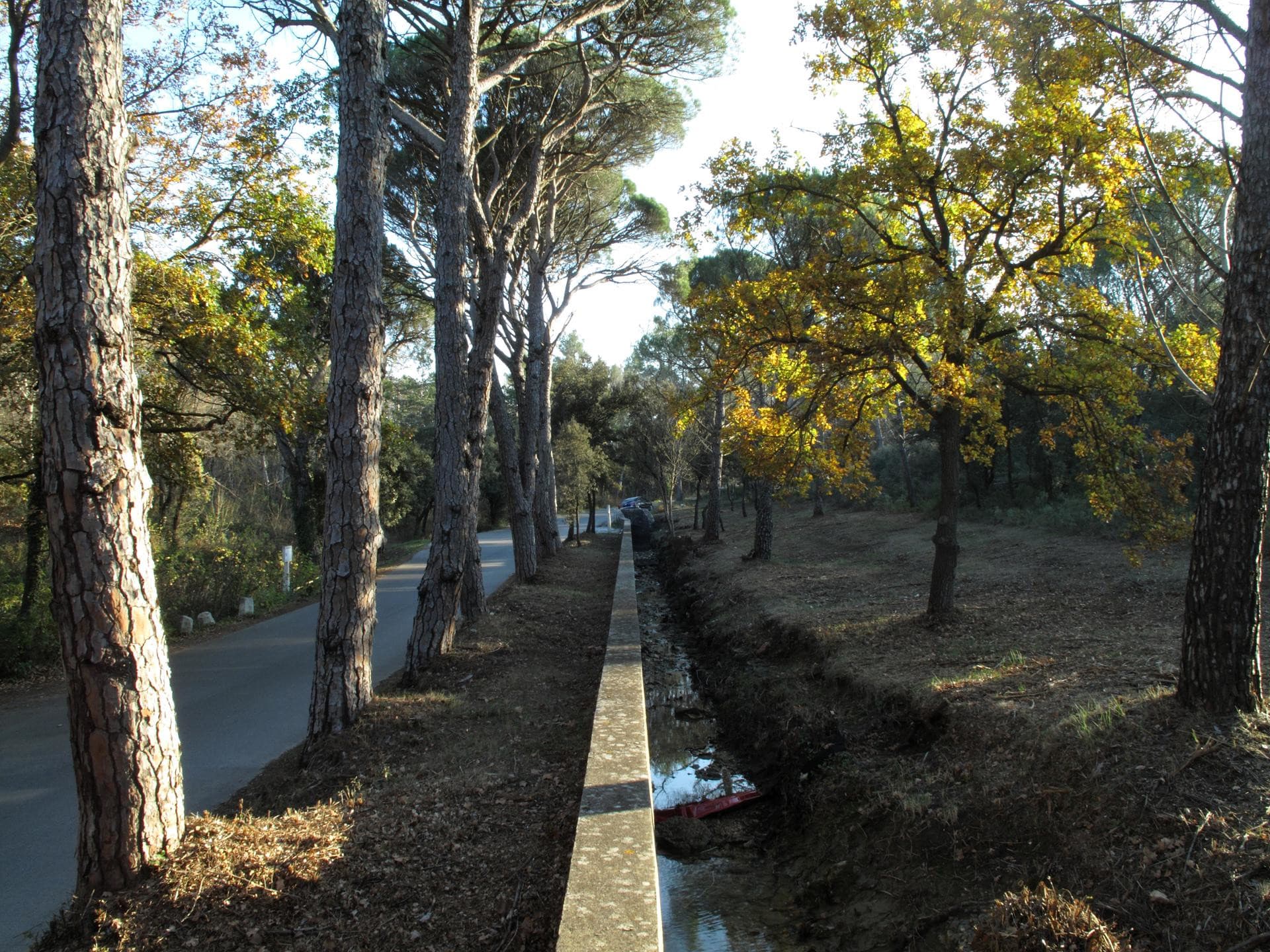 13SNA000054_3_HD.jpg