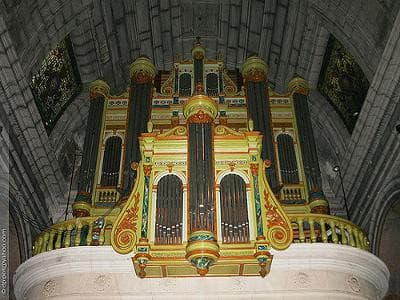 13T2001213_1_WEB.jpg