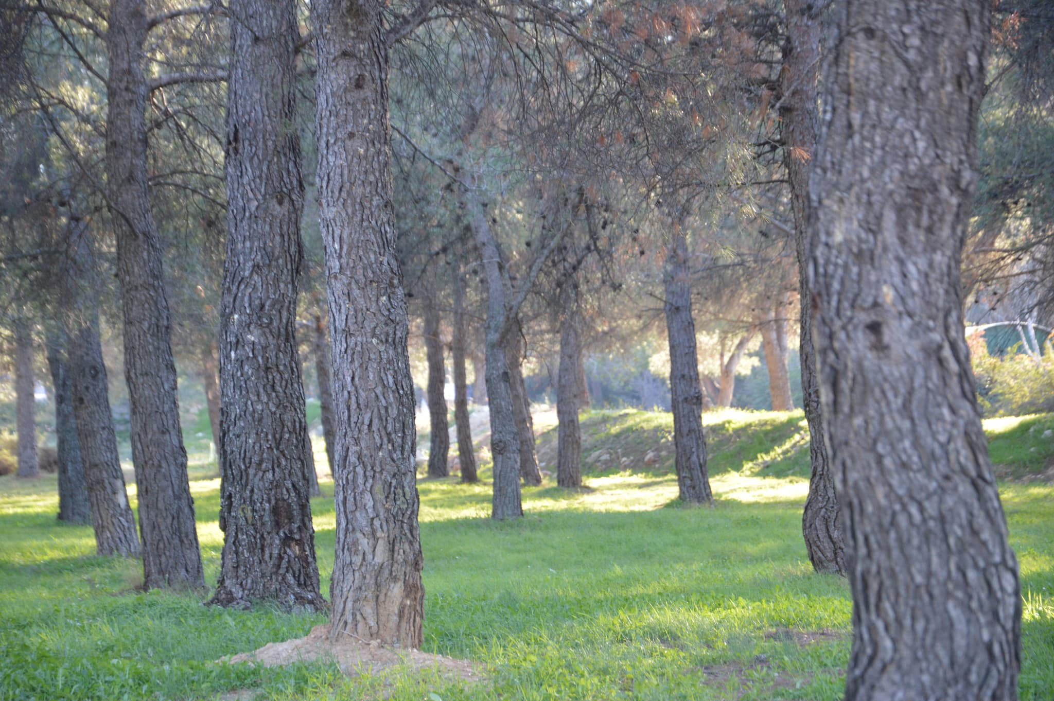 Colline Notre-Dame