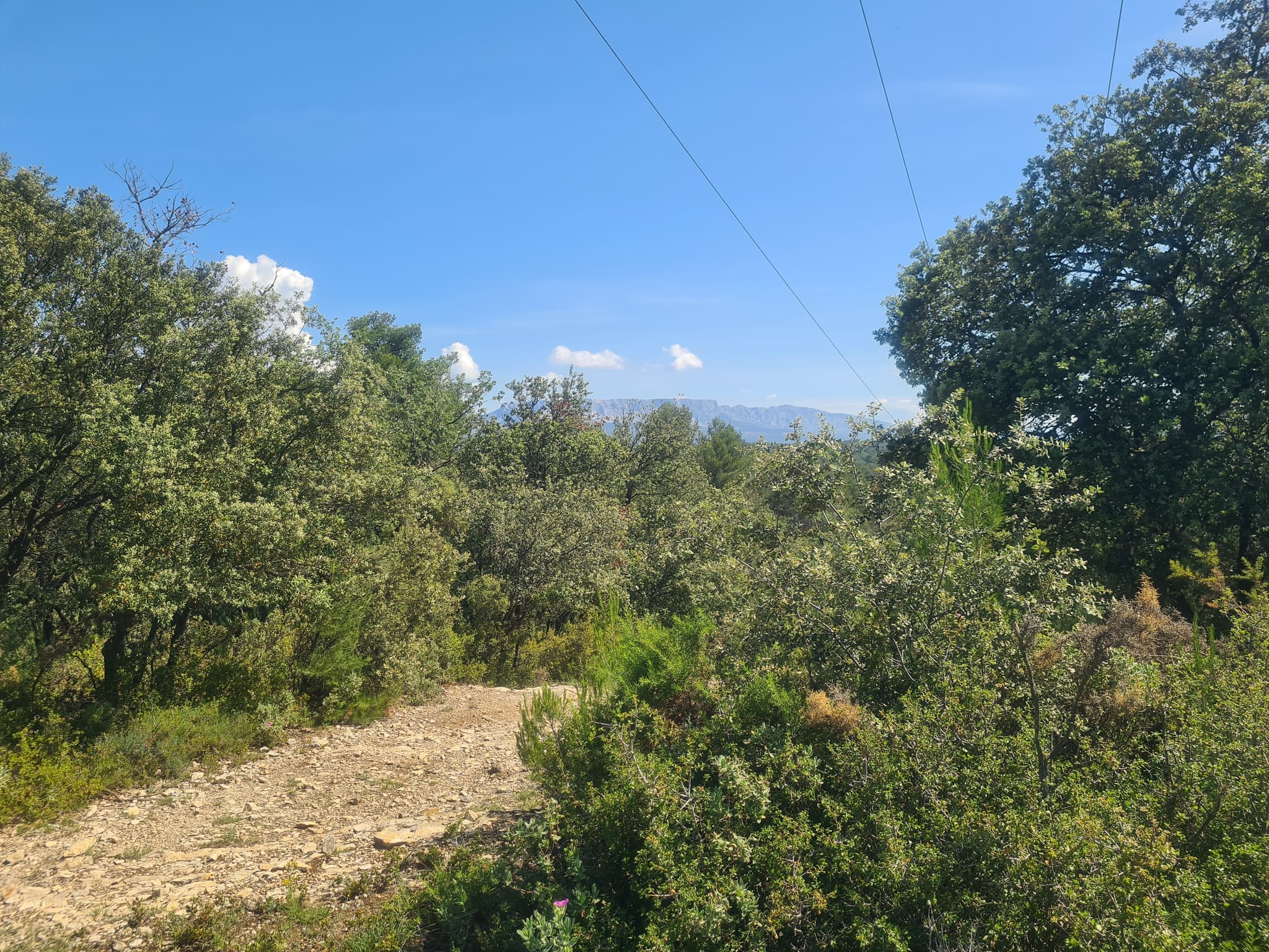 Circuit des Crêtes_Gardanne