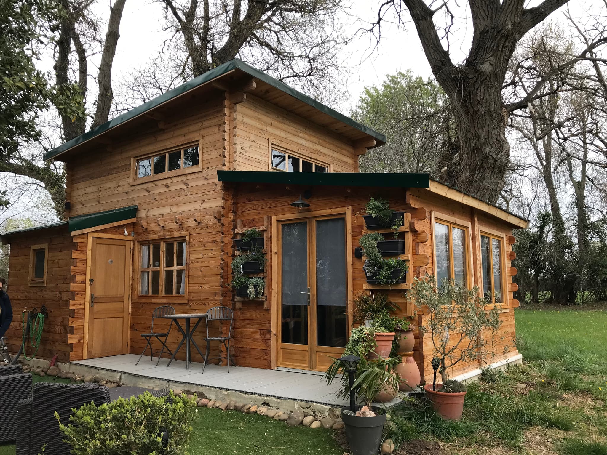 La cabane sous les arbres