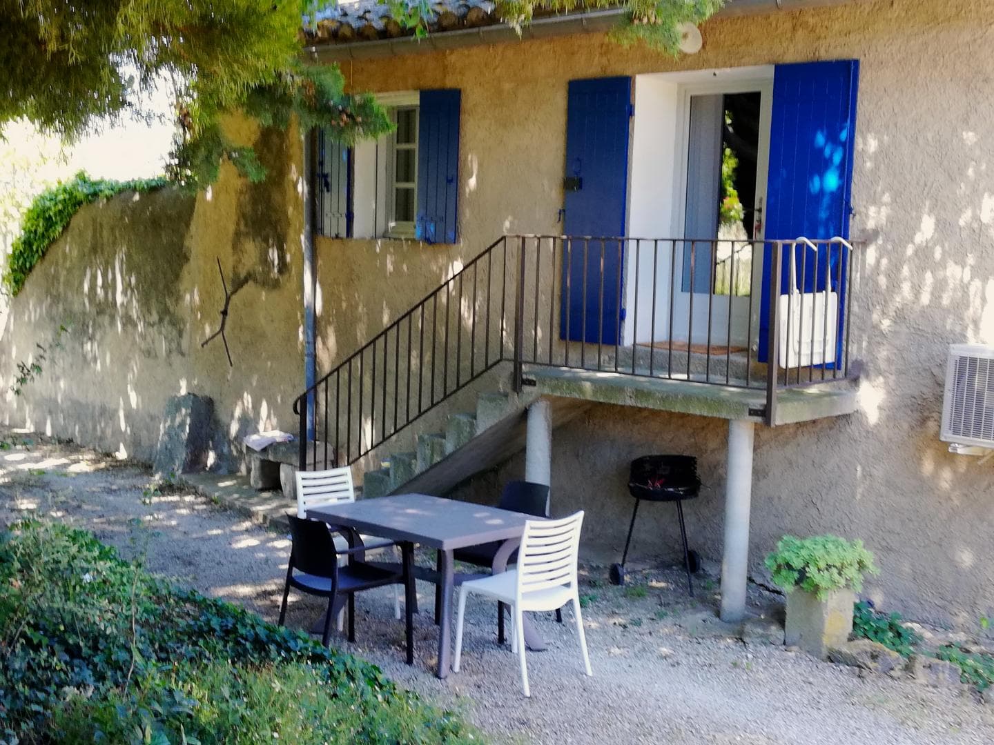 Les Micocouliers