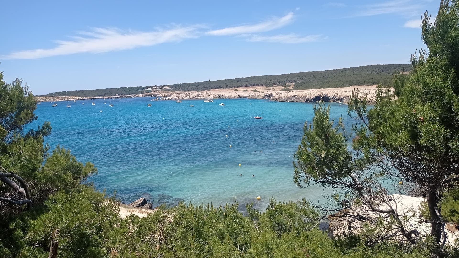 Belles Routes : De Martigues à Marseille par la Côte bleue_Martigues