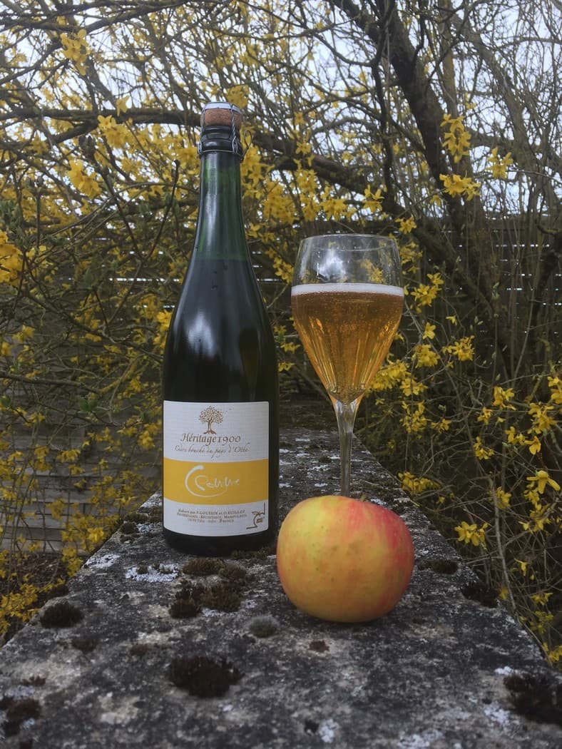 CIDRE CPOMME.JPG