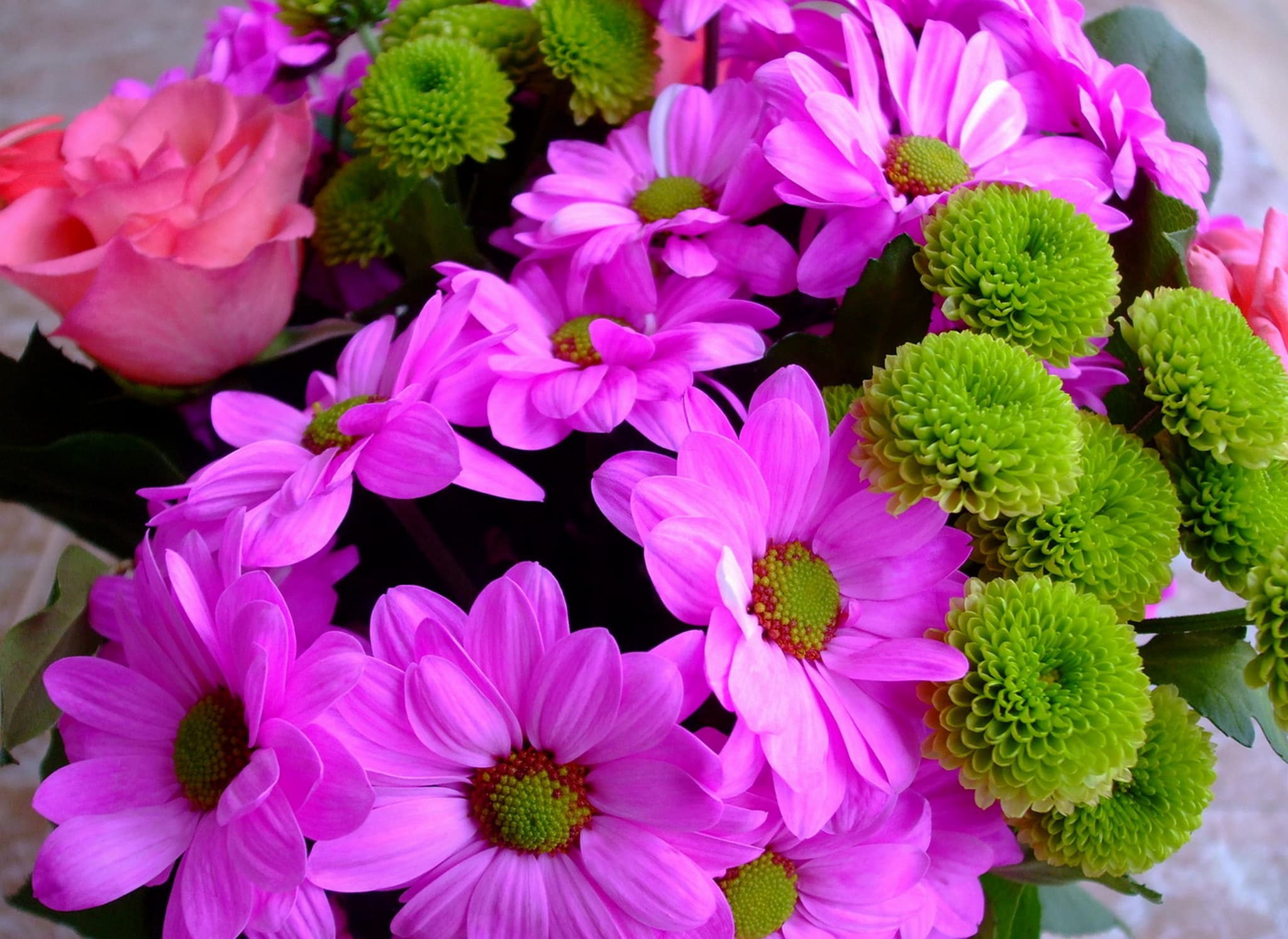 Provence Fleurs_Fuveau
