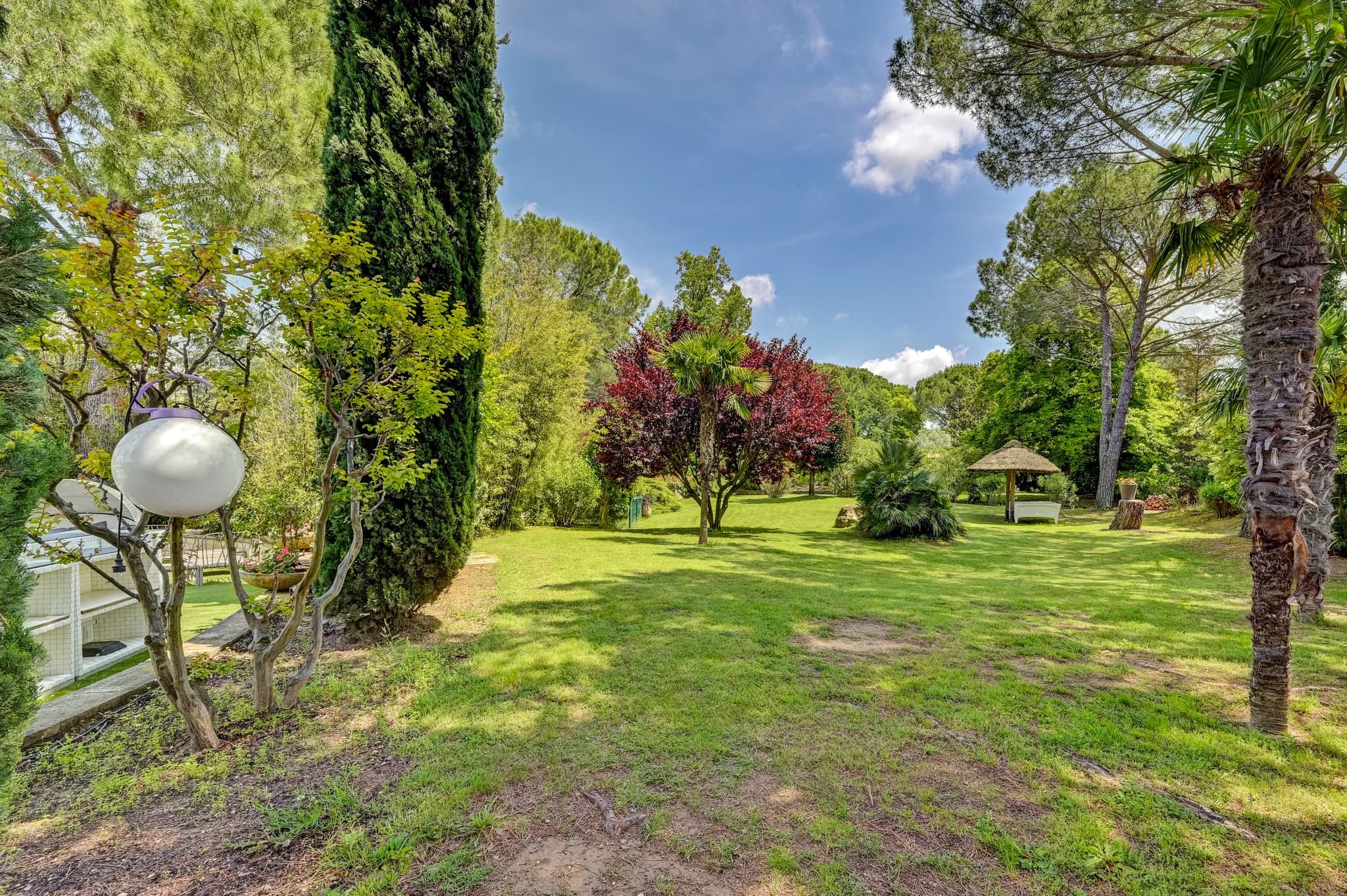 Vue fond du parc
