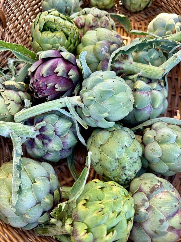 Marché des producteurs et artisans locaux d'Entressen_Istres
